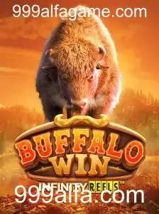 Explorando o Mundo de BuffaloWin: Um Guia Completo